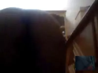 ஷேவ் மில்ஃப் மழை கீழ் பதிவு செய்யப்பட்டது