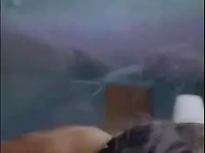 என் வழுக்கும் ஈரமான பீவரை வெளிப்படுத்துகிறது