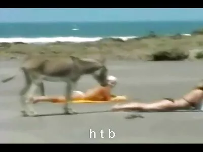 கேமராவில் என்னை உறிஞ்சுகிறது